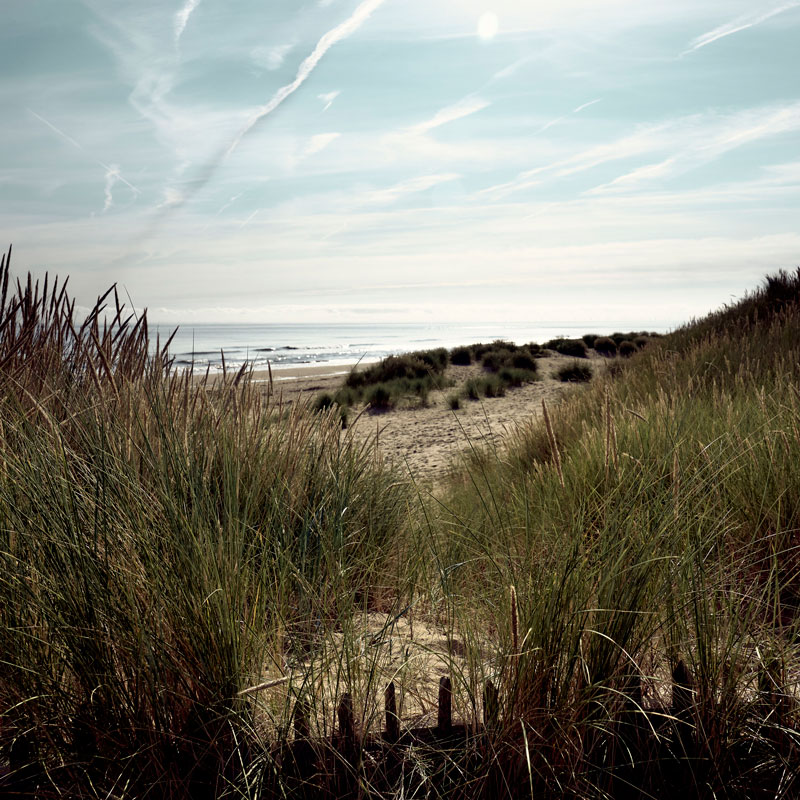 Lincolnshire coast sand dunes